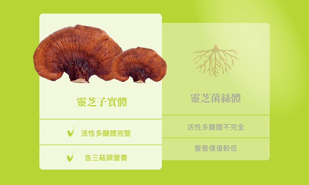 AFC 新究極活力源膠囊食品